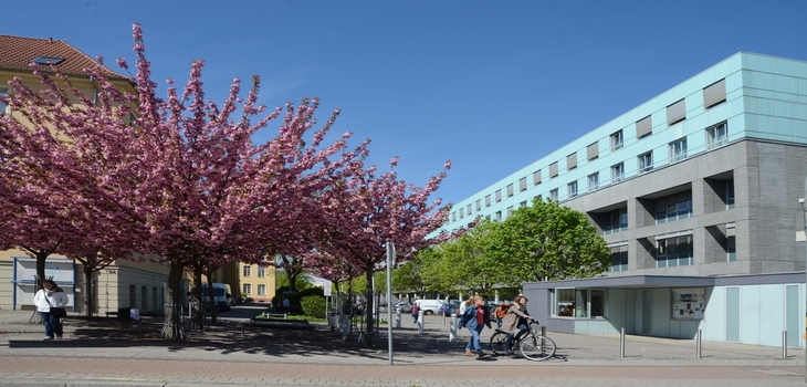 The Faculty of Medicine at OvGU